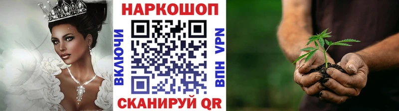 Купить наркотик аптеки Городовиковск Альфа ПВП Гашиш Экстази МАРИХУАНА