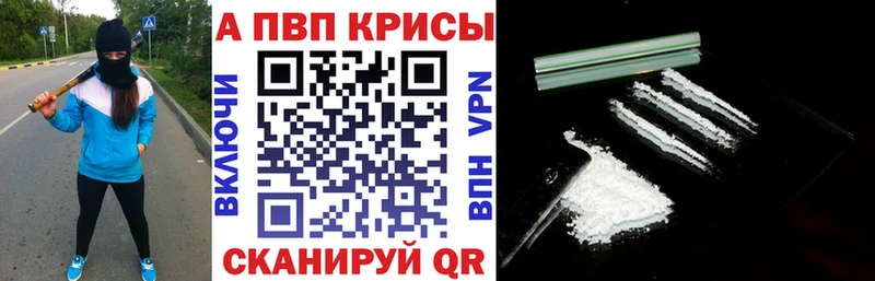 Альфа ПВП СК КРИС  Городовиковск 