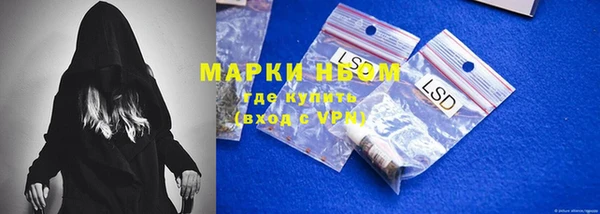бошки Богданович
