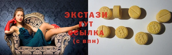 мдпв Богородск