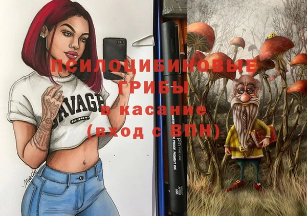 бошки Богданович
