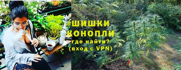 мдпв Богородск