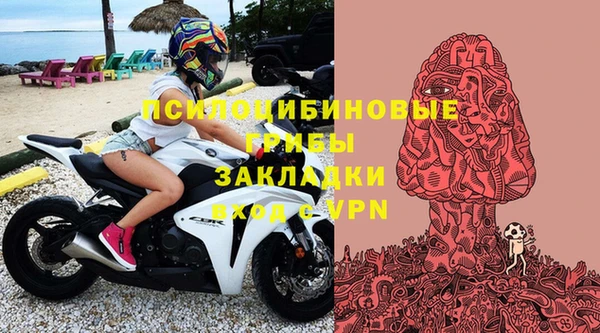 бошки Богданович