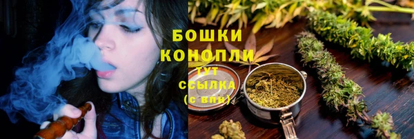 бошки Богданович